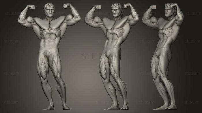 3D model Arnie (STL)